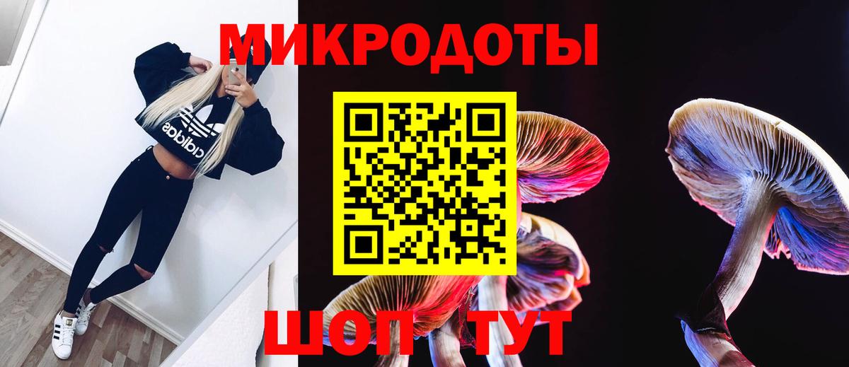 Котлас  Галлюциногенные грибы MAGIC MUSHROOMS  Вход с VPN 