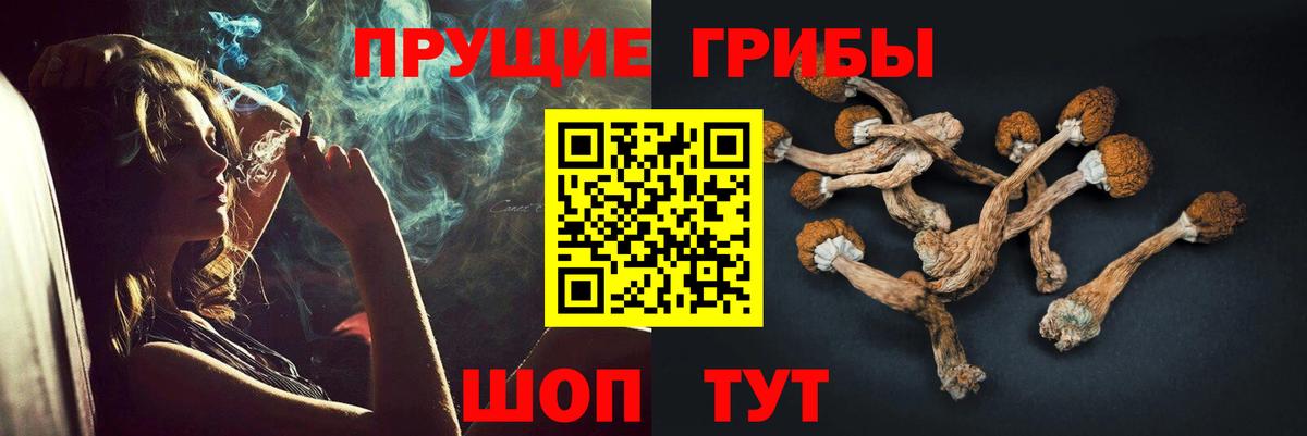 Псилоцибиновые грибы мицелий Котлас